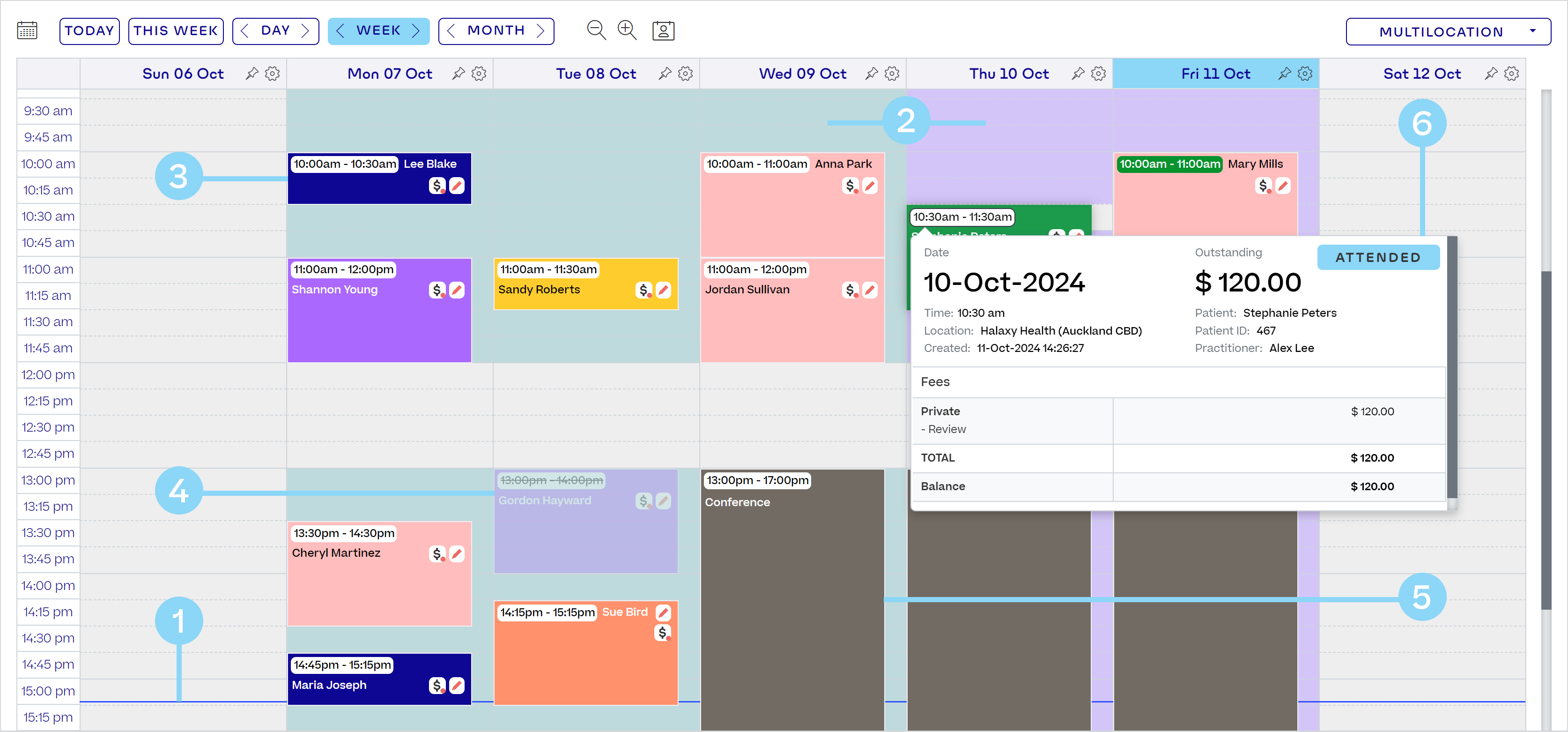Calendar-Colours-NZ.png
