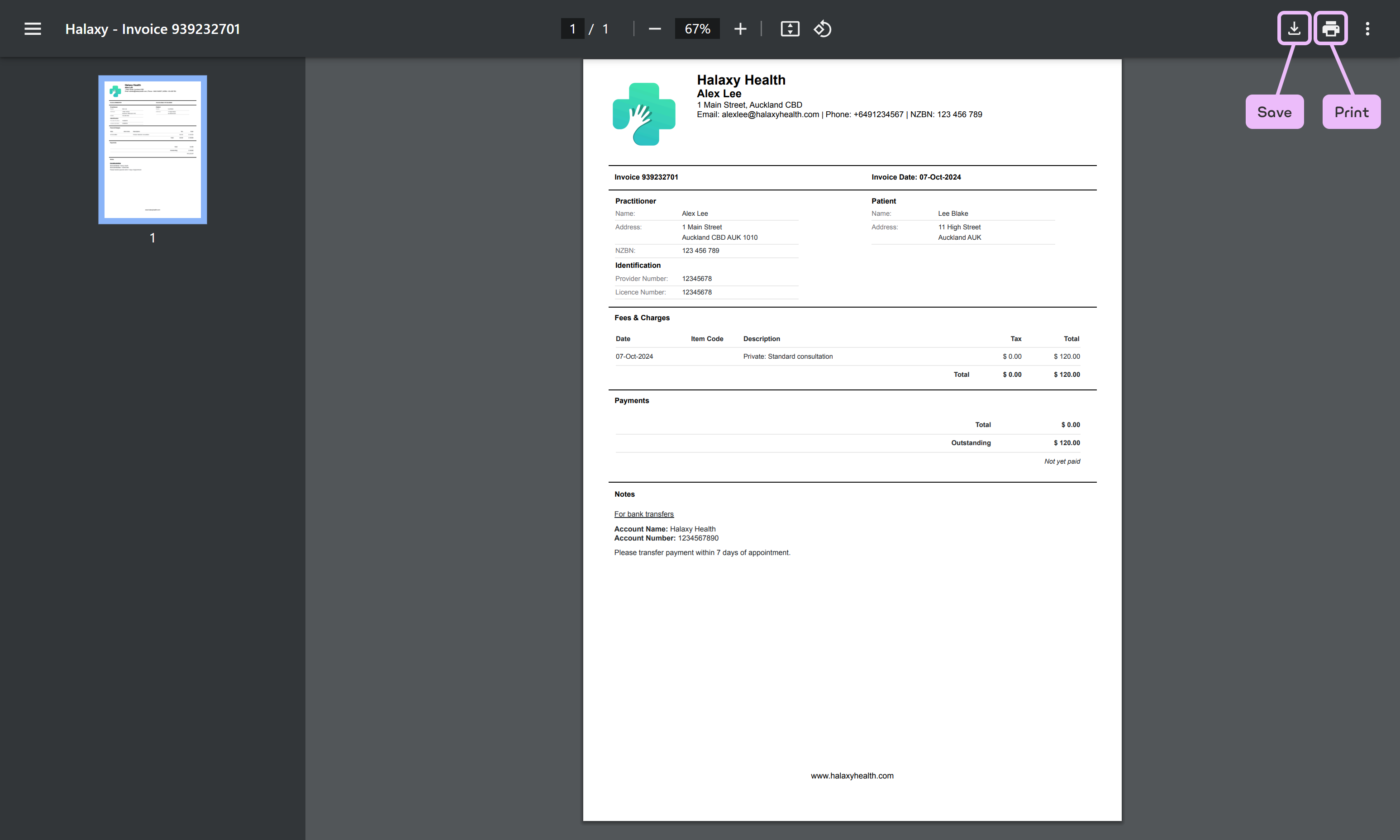 Invoice-Save-Print-NZ.png